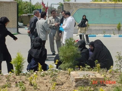 1a0ade594615258bb3adf62b1e1130bb S