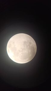 photo 2025 09 08 19 44 40